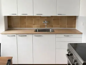 Pronájem bytu 1+1, Praha - Nové Město, Krakovská, 55 m2