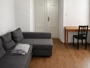 Pronájem bytu 1+1, Praha - Nové Město, Krakovská, 55 m2