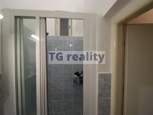 Pronájem bytu 2+1, Praha - Karlín, Peckova, 53 m2