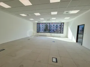 Pronájem kanceláře, Brno, Botanická, 450 m2