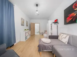 Prodej bytu 2+kk, Plzeň, Poděbradova, 64 m2