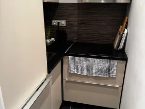 Pronájem bytu 2+1, Praha - Žižkov, Lucemburská, 52 m2