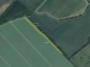 Prodej pole, Moravská Nová Ves, 29367 m2