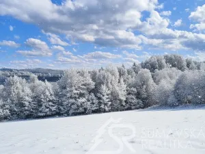 Prodej pozemku, Sušice - Záluží, 3500 m2