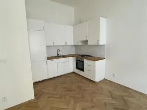 Pronájem bytu 2+kk, Praha - Nové Město, Krakovská, 47 m2