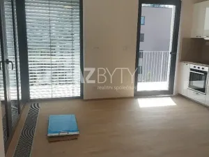 Pronájem bytu 2+kk, Praha - Hodkovičky, Šenácká, 56 m2
