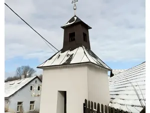 Prodej rodinného domu, Horní Radslavice, 883 m2