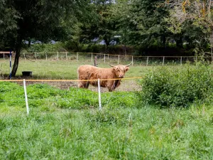 Prodej chaty, Litíč, 60 m2