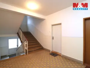 Prodej bytu 2+1, Ostrov, S. K. Neumanna, 64 m2