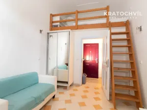 Pronájem bytu 1+kk, Praha - Strašnice, Věšínova, 18 m2