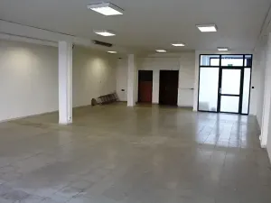 Pronájem obchodního prostoru, Prostějov, Wolkerova, 194 m2