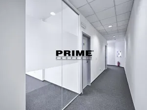 Pronájem kanceláře, Praha - Nové Město, Soukenická, 262 m2