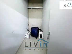 Pronájem bytu 2+kk, Olomouc, Wolkerova, 58 m2