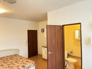 Pronájem bytu 1+kk, Karlovy Vary, T. G. Masaryka, 25 m2