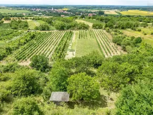 Prodej sadu/vinice, Pouzdřany, 1120 m2