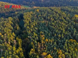 Prodej lesa, Všehrdy, 35057 m2