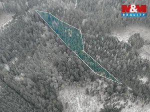 Prodej lesa, Hůrky, 6294 m2
