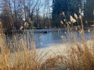 Prodej bytu 2+kk, Uhlířské Janovice, Havlíčkova, 51 m2