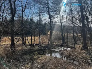 Prodej pozemku pro bydlení, Budišov nad Budišovkou, 556 m2