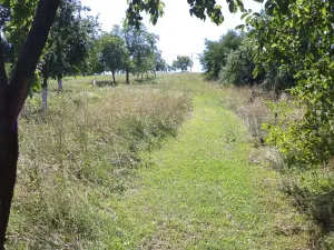 Dražba louky, Podolí, 10906 m2
