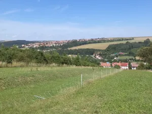 Dražba louky, Podolí, 10906 m2