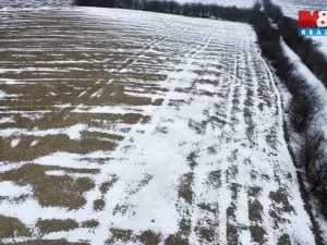 Prodej pole, Dolní Slivno, 10322 m2