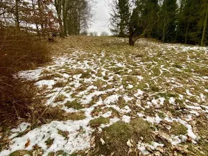 Prodej pozemku pro bydlení, Pertoltice pod Ralskem, 1283 m2