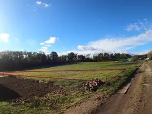 Prodej zahrady, Boršov nad Vltavou, K Pilotovi, 933 m2