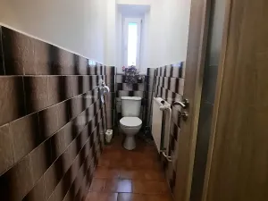 Pronájem bytu 2+1, Bohušovice nad Ohří, Nádražní, 70 m2