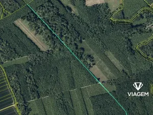 Prodej podílu lesa, Uhřičice, 2304 m2