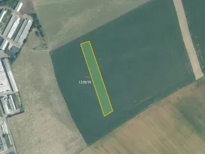 Prodej pole, Dřevohostice, 9139 m2