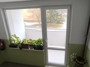 Prodej bytu 1+1, Cheb, Lesní, 36 m2