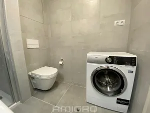 Pronájem bytu 1+kk, Brno, Reissigova, 41 m2