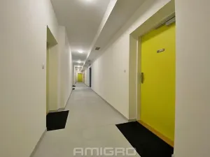 Pronájem bytu 1+kk, Brno, Reissigova, 41 m2