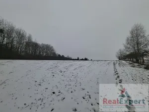 Prodej pole, Nový Rychnov, 73681 m2