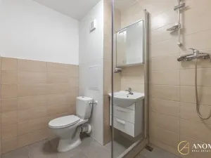 Pronájem bytu 1+1, Brno, Vavřinecká, 35 m2