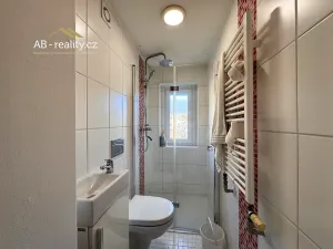 Prodej bytu 3+kk, Teplice, Ruská, 113 m2