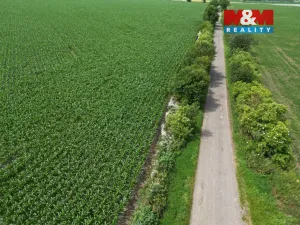 Prodej pole, Prostějov - Žešov, 8491 m2