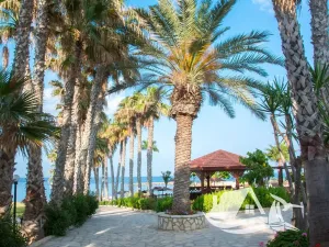 Prodej vily, Protaras, Kypr, 132 m2