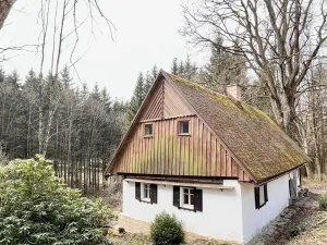 Prodej chalupy, Rychnov u Jablonce nad Nisou, 160 m2