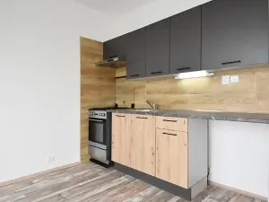 Pronájem bytu 1+1, Chomutov, Dřínovská, 35 m2