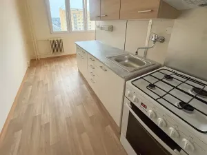 Pronájem bytu 1+1, Třemošná, Sídliště, 40 m2