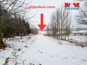 Prodej louky, Lichkov, 7222 m2