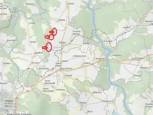 Prodej podílu lesa, Vlastec, 2339 m2