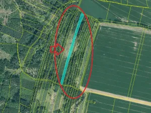 Prodej podílu lesa, Vlastec, 2339 m2