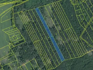 Prodej lesa, Plzeň, 5650 m2