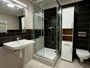 Prodej bytu 2+1, Rosice, Na Vyhlídce, 50 m2