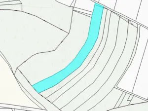 Prodej lesa, Olbramice, 12592 m2