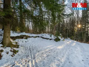 Prodej chalupy, Tanvald - Šumburk nad Desnou, 118 m2