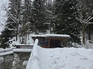 Prodej bytu 1+kk, Špindlerův Mlýn, 25 m2